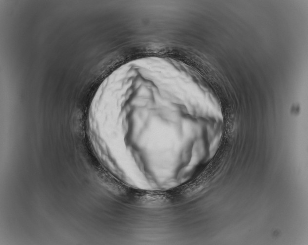 X0000096630270200802261212
