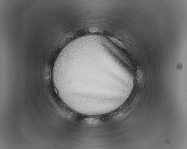 X0000096630272200802261212