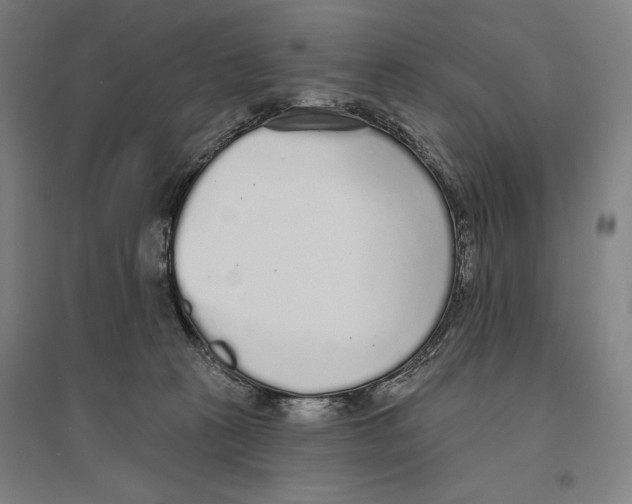 X0000096630273200802261212