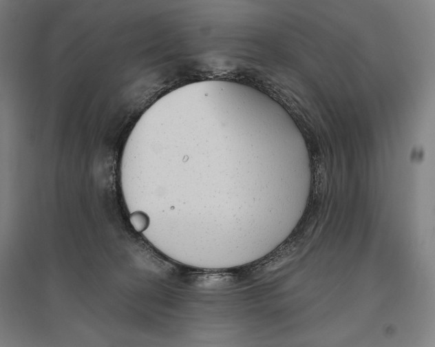 X0000096630274200802261212