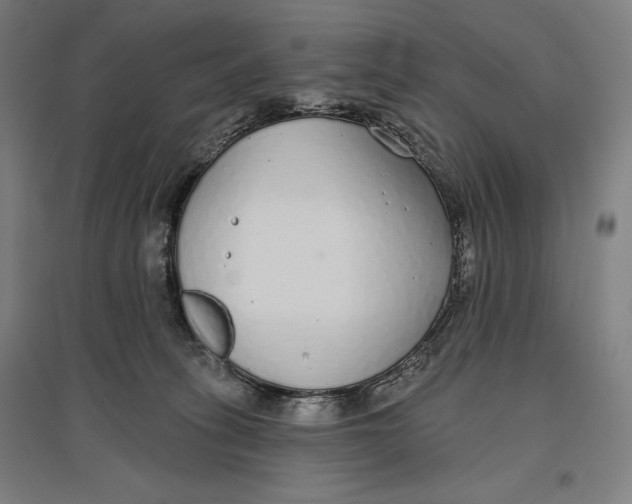 X0000096630275200802261212