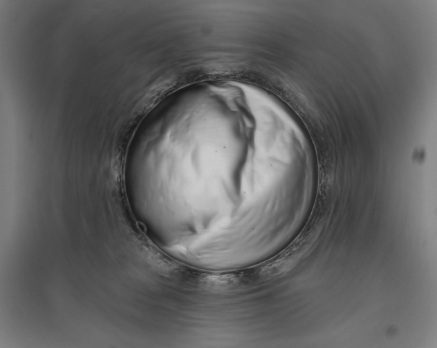 X0000096630277200802261212