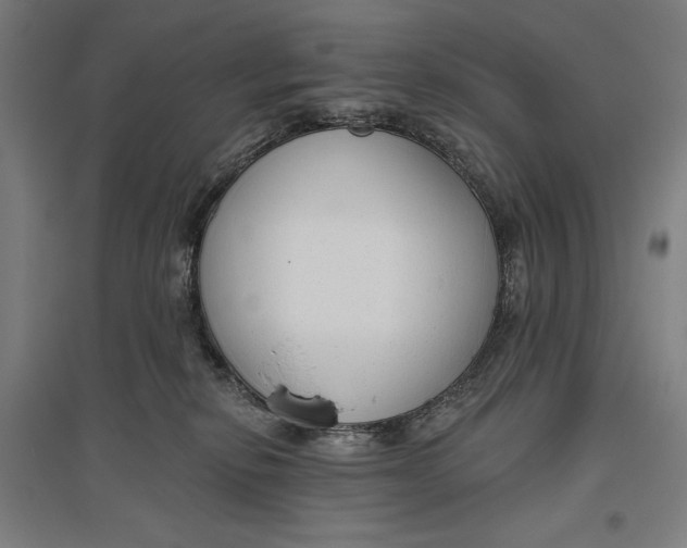 X0000096630278200802261212