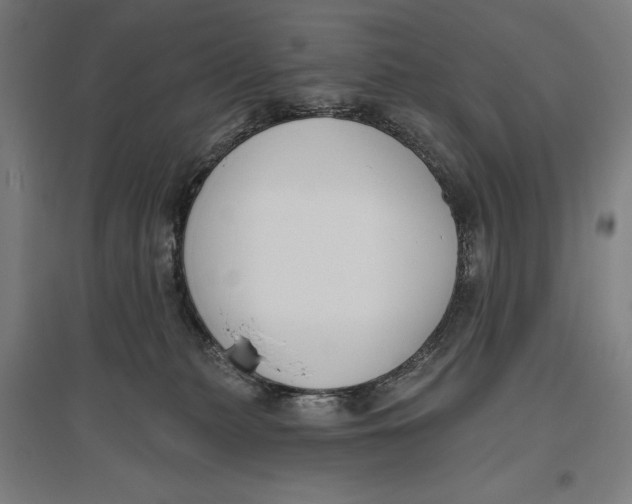 X0000096630279200802261212