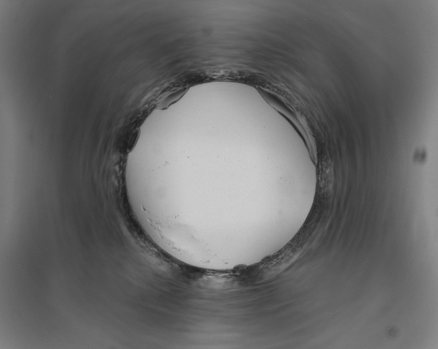 X0000096630280200802261212