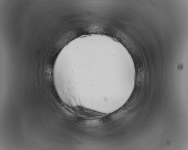 X0000096630281200802261212