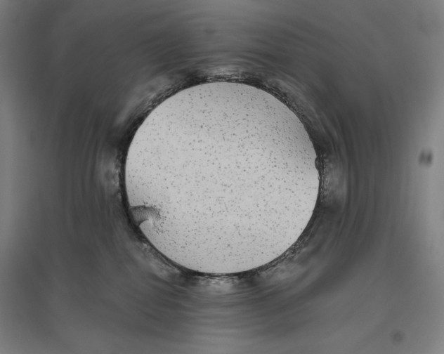 X0000096630282200802261212