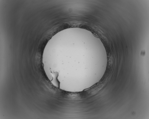 X0000096630283200802261212