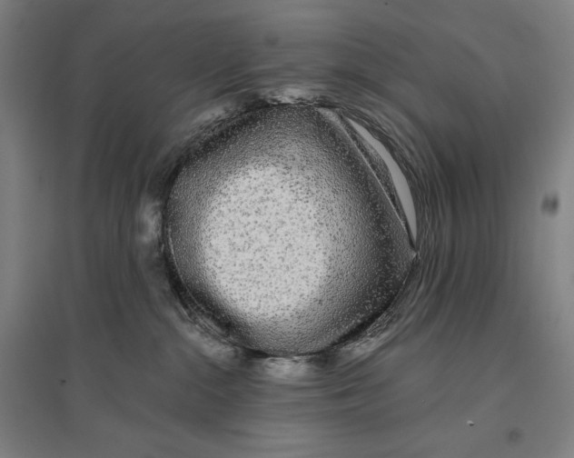 X0000096630284200802261212