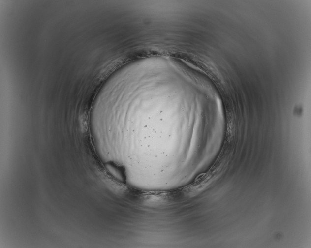 X0000096630285200802261212