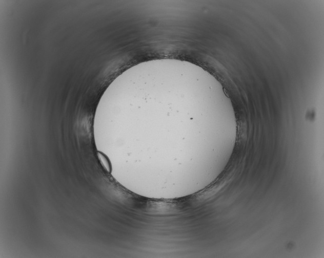 X0000096630286200802261212