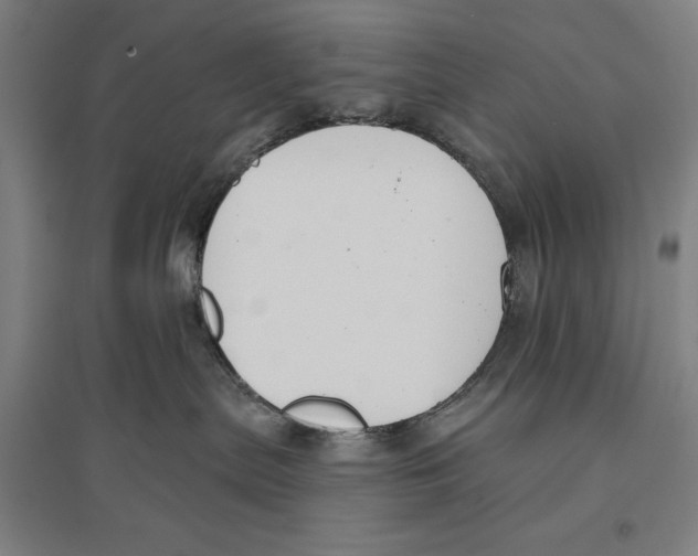 X0000096630287200802261212