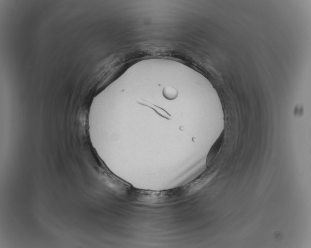 X0000096630288200802261212