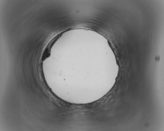 X0000096630289200802261211