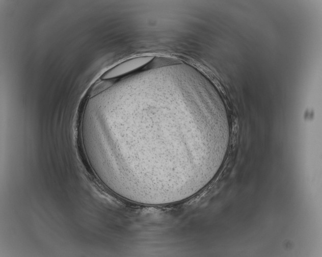 X0000096630290200802261211