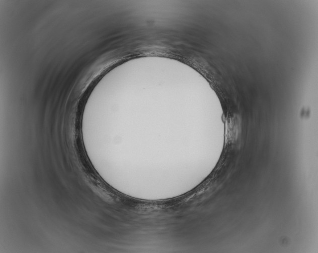 X0000096630291200802261211