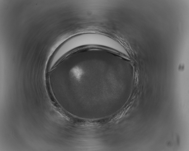 X0000096630292200802261211