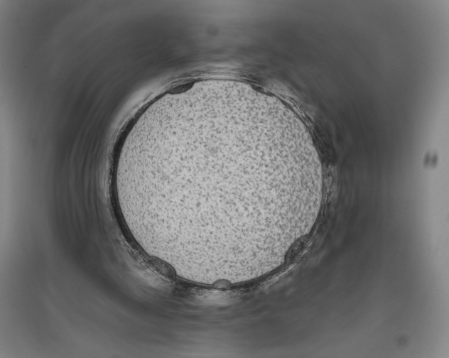 X0000096630293200802261211