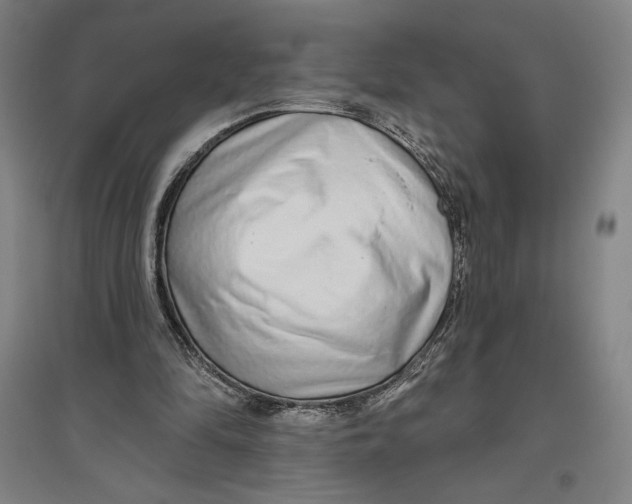 X0000096630294200802261211