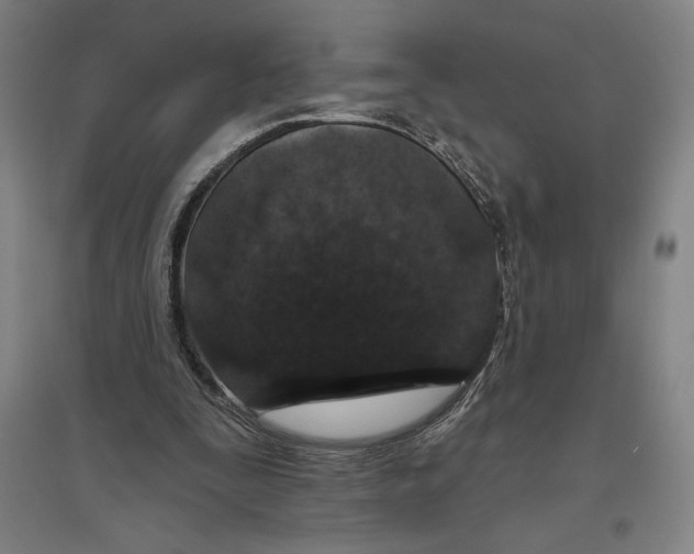 X0000096630295200802261211