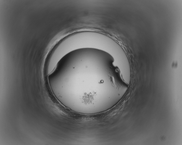 X0000096630296200802261211