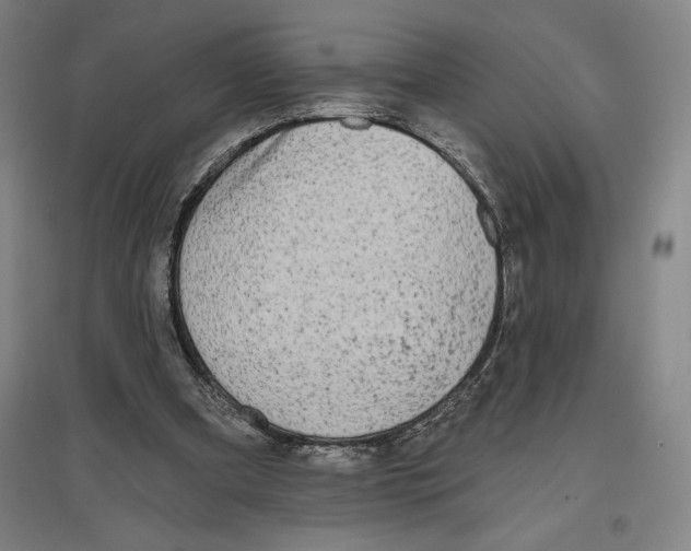 X0000096630297200802261211