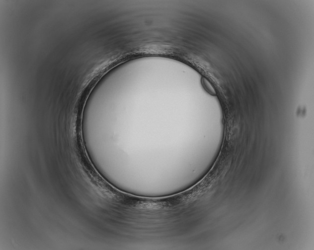 X0000096630299200802261211