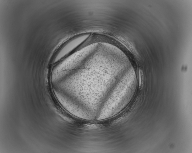 X0000096630300200802261211