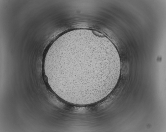 X0000096630301200802261211