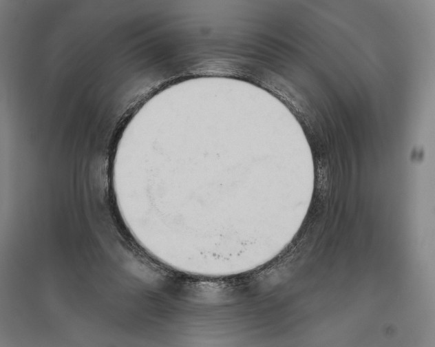 X0000096630302200802261211