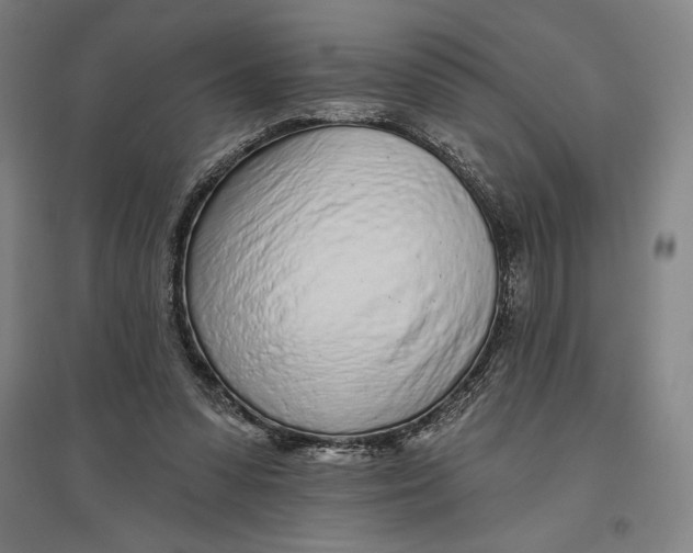 X0000096630303200802261211