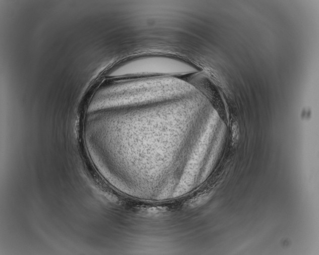 X0000096630304200802261211
