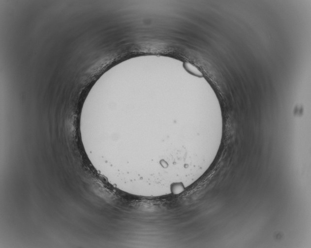 X0000096630305200802261211