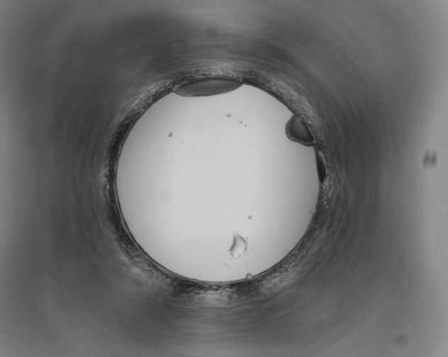 X0000096630306200802261211