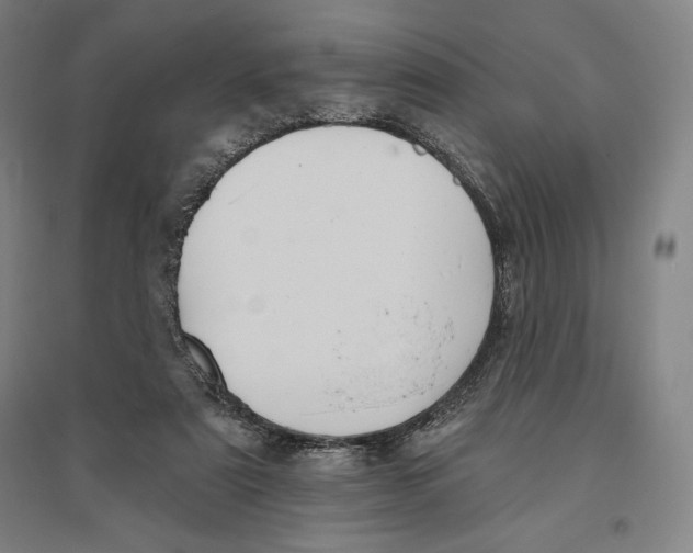 X0000096630307200802261211