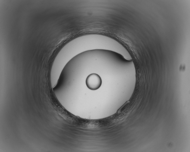 X0000096630308200802261211