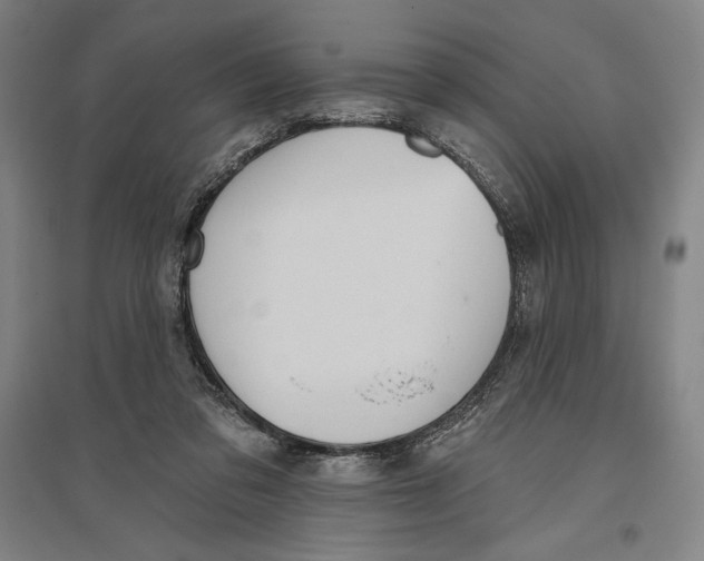X0000096630309200802261211