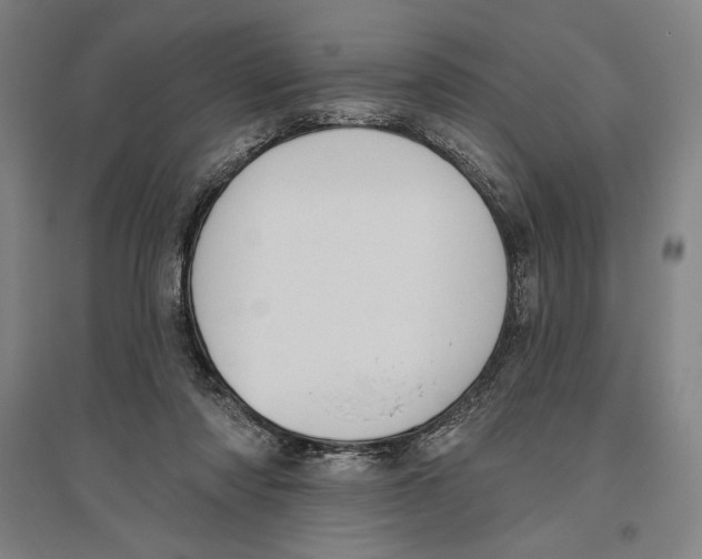 X0000096630310200802261211