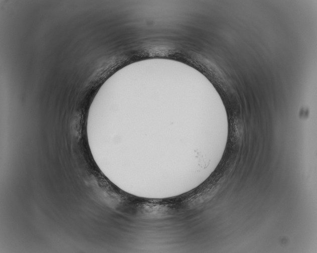 X0000096630311200802261211