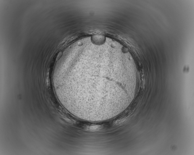 X0000096630312200802261211