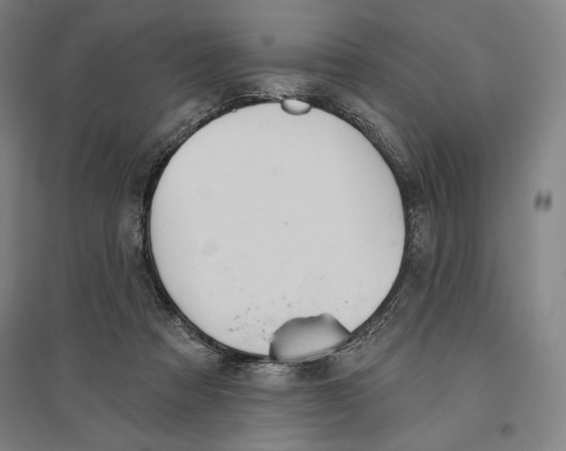 X0000096630313200802261211