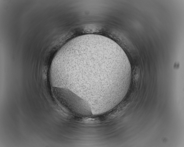 X0000096630315200802261210