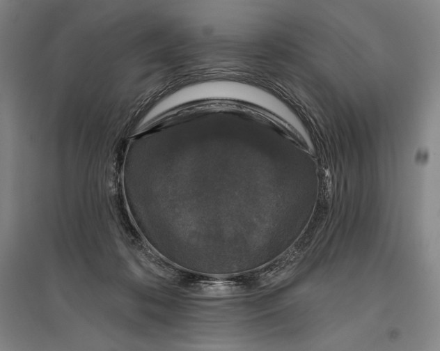 X0000096630316200802261210