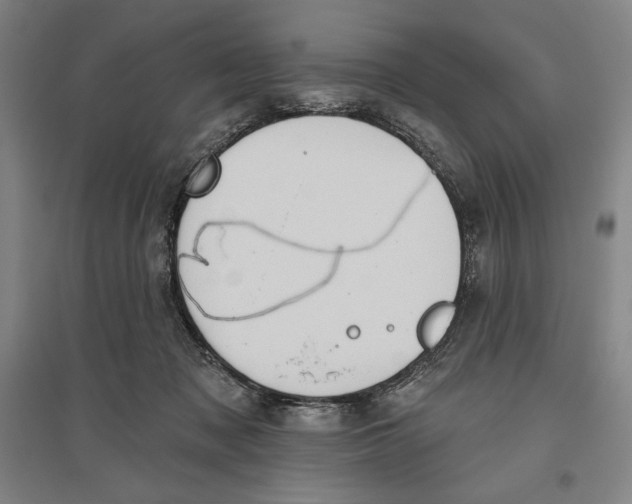 X0000096630317200802261210