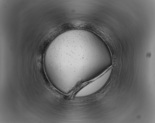 X0000096630319200802261210