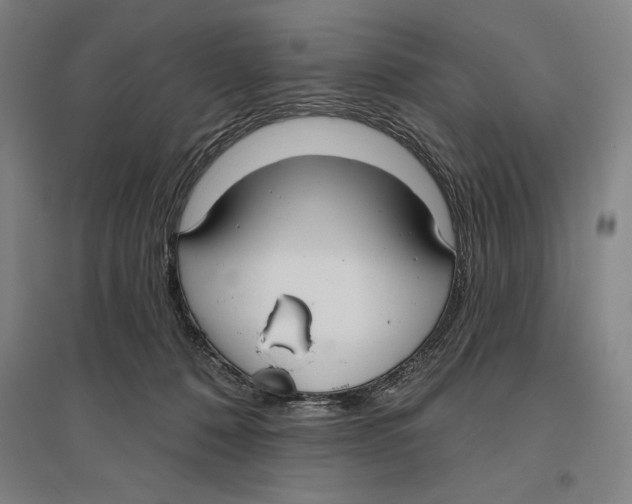 X0000096630320200802261210