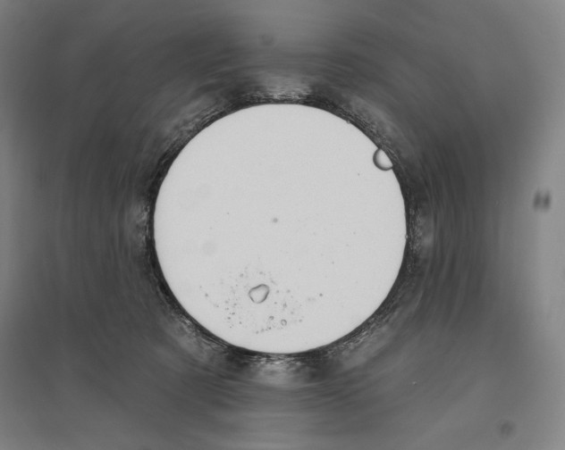 X0000096630321200802261210