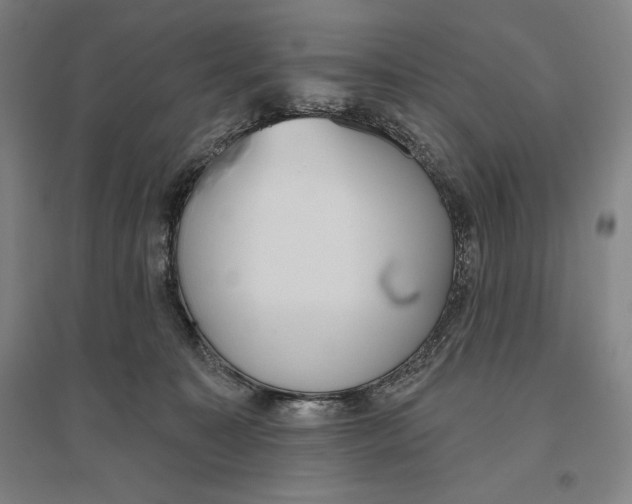 X0000096630323200802261210