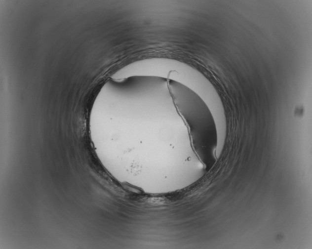 X0000096630324200802261210