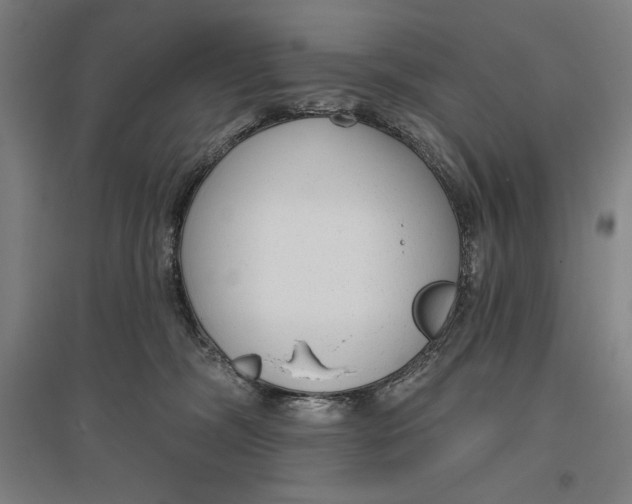 X0000096630326200802261210